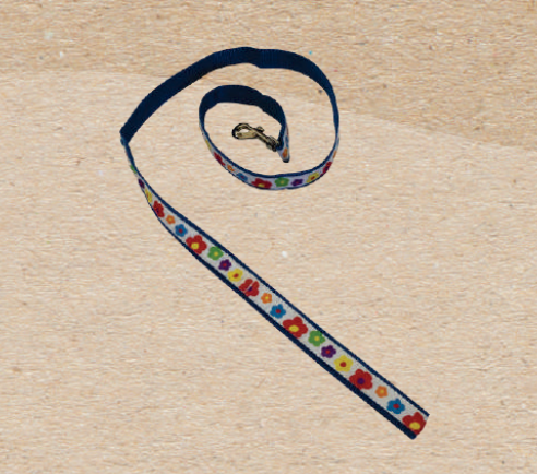 Correa N°5